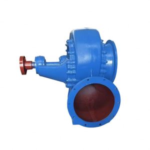 Pompe à eau horizontale à haut débit HW pour l'irrigation des terres agricoles - Product Image 2