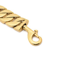 Collier pour chien personnalisé, luxueux, moderne, en acier inoxydable 316L massif, 42 mm, à dégagement rapide, avec boucle robuste, doré