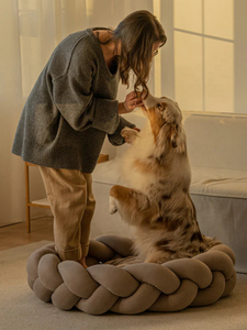 Kinghon OEM Mehrfarbiges Luxus Hunde Bett Handgefertigt aus Weichem Samt mit Abnehmbarem Bezug, Rundes Hunde Sofa - Product Image 6