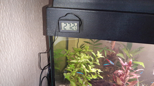 Mini thermomètre numérique LCD pour reptiles TPM-10, pour la maison, la température de la pièce, thermomètre électronique numérique d'intérieur - Product Image 6