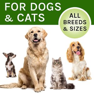 Kulübesi öksürük tedavisi köpekler ve kediler için köpek alerji ve kedi astım rölyef-öksürük bastırıcı evcil hayvanlar için - Product Image 3