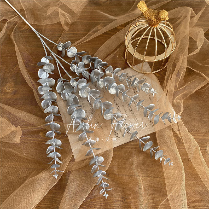 Eucalyptus à 5 volets