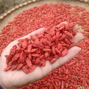 Bacche di Goji Biologiche Fresche dallo Ningxia, Cina, Sono Frutta Secca Salutare che Possono Essere Utilizzate per Preparare Tè o Mangiate Come Spuntino. - Product Image 3