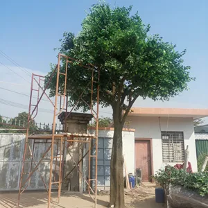 송타오 A15 장식 인공 반얀 나무 날씬한 장대 높은 유리 섬유 식물