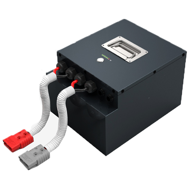 Lithium Ion Battery Pack 12v 24v 48v 60v 72v Lifepo4 Deep Cycle 60ah
