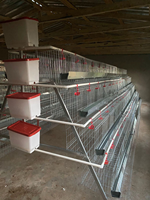 Cage automatique pour poules pondeuses et poulets de type batterie, en treillis métallique, pour 1000 poulets
