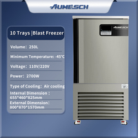 Aumesch Haute Qualité 10 Plateaux Congélateur-40 °C Plug-In Congélation Rapide pour 1P 110V 60Hz Tension Restaurant Cuisine Utilisation