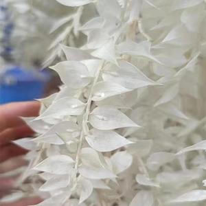 <span class=keywords><strong>Bouquet</strong></span> de fleurs séchées de haute qualité, très populaire, ruscus préservé, cadeau, matériel de bricolage, Saint-Valentin, Noël, décoration de la maison - Product Image 3