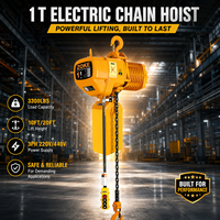 Palans à chaîne électriques triphasés 380V de 1 tonne à prix d'usine pour entrepôt et ligne de production