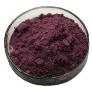 ผงสารสกัดแอนโธไซยานินแบล็คเคอแรนท์25% โรงงาน - Product Image 3