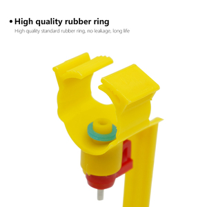 Gà uống tự động ấp trứng chim bồ câu gia cầm uống nước gà nhỏ giọt núm vú Cốc Gà uống - Product Image 4