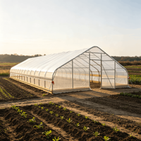 Serre de jardin moderne 25x60 pieds, tente de culture préfabriquée en acier galvanisé, alternative imperméable pour la culture à domicile dans la cour, facilement assemblable