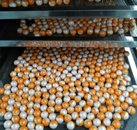 Haute qualité 0.68 pouces balles de paintball balles de paintball peinture balle pistolets tir paintball