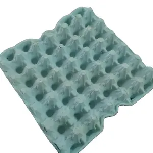 Máquina de fabricación de moldes de 30 celdas para huevos, molde de bandeja instalado para moldear papel