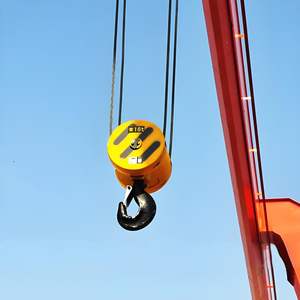 האירופית חשמלי הוק hook 1ton-50 טון הרמת התעשייה מנוף 30t וו וו - Product Image 3