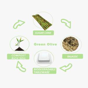 Prezzo di fabbrica a buon mercato Sugarcane Bagasse Pulp contenitore per alimenti usa e getta 3 scomparti portare via scatole di <span class=keywords><strong>cibo</strong></span> per alimenti cinesi - Product Image 4