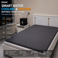 Système intelligent de refroidissement et de chauffage de lit à base d'eau, surmatelas double zone pour la maison, l'hôtel et les marques privées