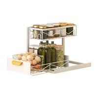 Nouveauté Organiseur de cuisine en métal à 2 niveaux avec tiroir coulissant Panier Organiseur d'évier de salle de bain Sous l'armoire