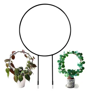 Small Trellis Potted Plants Round Plant Support Rustproof Durable Stable Pots Indoor Pot Circle Trellis Climbing Plants