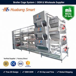 Système complet de cages automatiques en H pour poulets de chair, en treillis soudé, avec système d'évacuation du fumier, galvanisé à chaud, pour élevage avicole - Product Image 6
