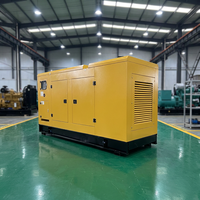Groupe électrogène triphasé silencieux à chargement facile pour usage domestique et industriel – 20 kW, 30 kW, 50 kW, 100 kW, 200 kW