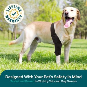 Tùy Chỉnh Dog Hỗ Trợ Đầu Gối Ngăn Chặn Liếm Bảo Vệ Bìa Cho Chân Sau Chấn Thương Sản Phẩm Vật Nuôi - Product Image 6