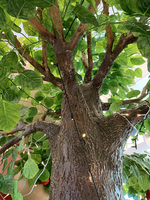 Vente en gros de grandes plantes simulées décoratives en plastique d'intérieur et d'extérieur pommier artificiel naturel au toucher réel pour la décoration