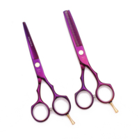 AQIABI Ciseaux de coiffeur professionnels 5.5 ''JP Ciseaux de coupe de cheveux en acier Ciseaux amincissants Pointe pointue Violet A1104 Acier inoxydable