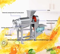 Mango Sap Extractie Machine Fruit Mango Sap Plant Oranje Ananas Mango Sap Productielijn