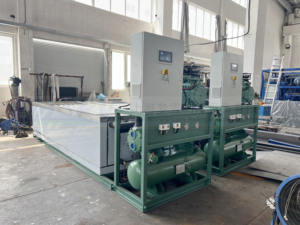 Máy làm đá khối túi tự động 3ton để làm mát Cá - Product Image 2