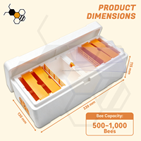 Ruche portable en mousse EPS à 4 cadres pour abeilles reines, mini-ruche de reproduction pour 500-1000 abeilles, idéale pour la propagation des abeilles au printemps et en automne