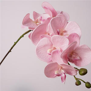 Fleurs d'orchidées artificielles de haute qualité, orchidées au toucher réel, fleurs artificielles, tiges d'orchidées <span class=keywords><strong>Cymbidium</strong></span> pour la décoration de mariage et de la maison - Product Image 1