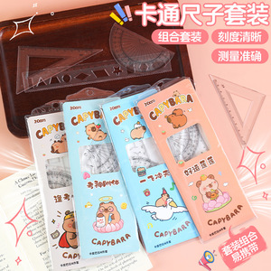 Ensemble de règles Capybara 20 cm en plastique, 4 pièces, pour étudiants et artistes - Product Image 1