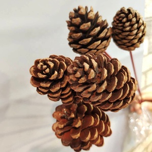 Venta al por mayor a granel Real Touch Natural seco decoración de Navidad flores y plantas cono de pino seco - Product Image 3