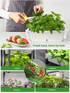 Indoor Gardening Vertical Microgreens Vegetables Fruit Self-Watering Herbs Planter Home Plant Growing System