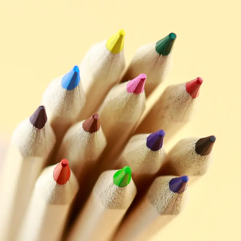 Anak-anak Seni Siswa 12 Warna Krayon Set Sketsa Gambar Grafiti Pensil Warna