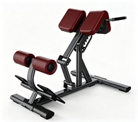 Chaise romaine professionnelle réglable pour extension dorsale et hyperextension, idéale pour les centres de fitness et la musculation