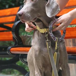 360 Beauty Fashion Durable Ring Handle Luxury Pet Lead Custom Print Logo Correa para perro con botella de agua colgante - Product Image 3