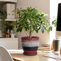 Pot de fleurs en céramique EPFamily, 6 pouces, arc-en-ciel, moderne, rond, pour plantes d'intérieur, avec trou de drainage et plateau, pour utilisation sur bureau