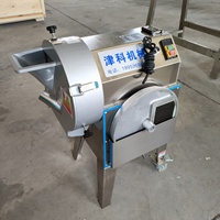 Automatische groente- en fruitsnijmachine voor commerciële keukens en voedselverwerking