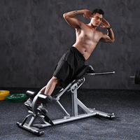 XOYOOU Banc de musculation pliable en métal réglable pour le bas du dos, équipement de fitness pour abdominaux et extensions dorsales, chaise romaine