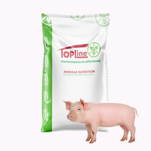 Aliment de démarrage prémélangé pour porcs avec minéraux, acides aminés, vitamines et enzymes de qualité alimentaire pour favoriser la prise de poids - Product Image 6