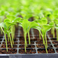 Plateau de semis multi-cellules en plastique pour jardin domestique, serre, herbes et fleurs – Plateau de germination et de culture
