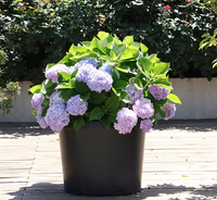 Pot de fleurs Horyard en plastique PP écologique, durable, léger et moderne, avec contrôle des racines, pour balcon et jardin