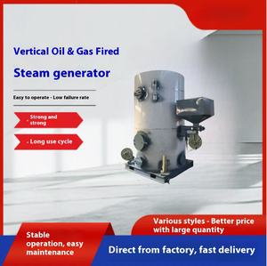 Chaudière à gaz industrielle pour le chauffage des bains <span class=keywords><strong>de</strong></span> vapeur, des abattoirs, des sources chaudes, des chaudières à vapeur spécialisées pour le chou fermenté, les nouilles <span class=keywords><strong>de</strong></span> riz - Product Image 2