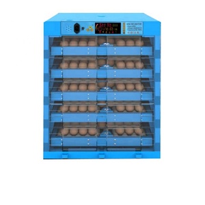 Nouveauté Thermomètre Hygromètre Oeuf Incubateur 64pcs oeuf Mini Pato Huevo Incubadoras De Aves Poulet Canard Oeuf Incubation - Product Image 1