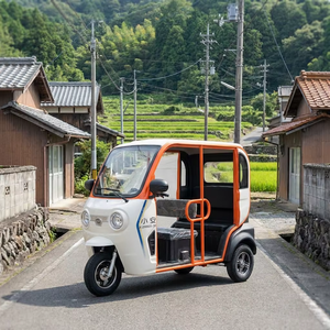 <span class=keywords><strong>Tricycle</strong></span> <span class=keywords><strong>électrique</strong></span> compact YS >60V, carrosserie ouverte, 3 places, véhicule <span class=keywords><strong>électrique</strong></span> domestique pour trajets quotidiens, <span class=keywords><strong>tricycle</strong></span> <span class=keywords><strong>électrique</strong></span> basse vitesse fabriqué en Chine - Product Image 1