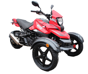 ≪超目玉☆12月≫ 実動 三輪バギー『ズーマー トライク』250cc バック