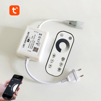 Contrôleur de variateur de lumière LED monochrome Tuya Wifi 110V 220V pour bande LED avec télécommande IR RF 2.4G