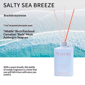 Diffuseur de parfum d'ambiance longue durée pour la maison, désodorisant et éliminateur d'odeurs pour salle de bain, idéal comme cadeau - Product Image 5
